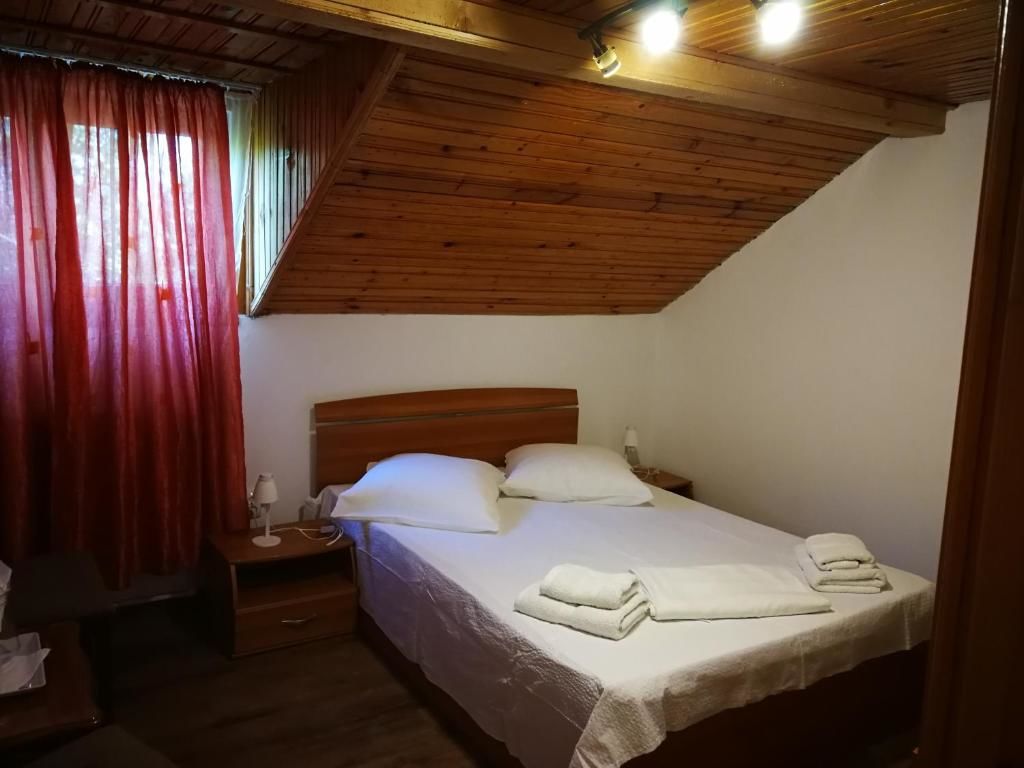 Гостевой дом Vila Speranta Pleşcoi